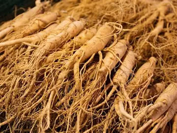 Ginseng