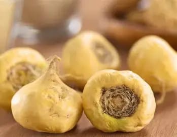 Maca Root